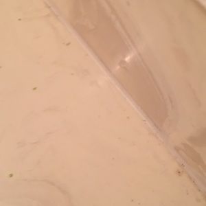 Meet your Posher, Elijah